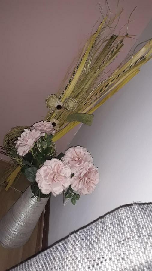 סלוניי Apartman Patrik מראה חיצוני תמונה